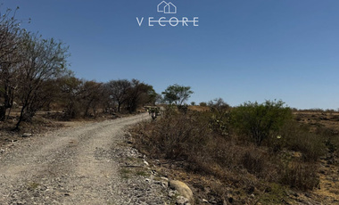 TERRENO RÚSTICO EN VENTA EN MATATLÁN, ENTRE TONALÁ Y ZAPOTLANEJO, JALISCO