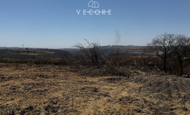 TERRENO RÚSTICO EN VENTA EN MATATLÁN, ENTRE TONALÁ Y ZAPOTLANEJO, JALISCO