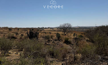 TERRENO RÚSTICO EN VENTA EN MATATLÁN, ENTRE TONALÁ Y ZAPOTLANEJO, JALISCO