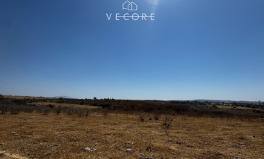 TERRENO RÚSTICO EN VENTA EN MATATLÁN, ENTRE TONALÁ Y ZAPOTLANEJO, JALISCO