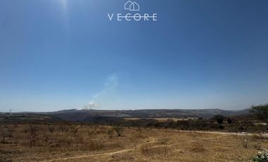 TERRENO RÚSTICO EN VENTA EN MATATLÁN, ENTRE TONALÁ Y ZAPOTLANEJO, JALISCO