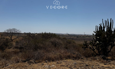 TERRENO RÚSTICO EN VENTA EN MATATLÁN, ENTRE TONALÁ Y ZAPOTLANEJO, JALISCO