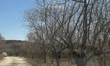 TERRENO RÚSTICO EN VENTA EN MATATLÁN, ENTRE TONALÁ Y ZAPOTLANEJO, JALISCO
