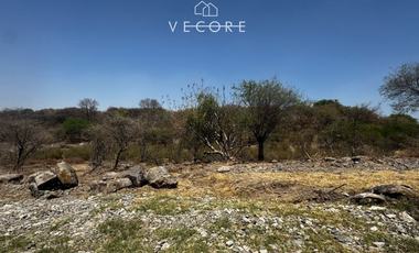 TERRENO RÚSTICO EN VENTA EN MATATLÁN, ENTRE TONALÁ Y ZAPOTLANEJO, JALISCO