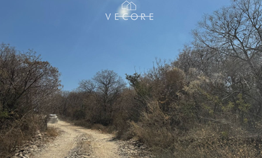 TERRENO RÚSTICO EN VENTA EN MATATLÁN, ENTRE TONALÁ Y ZAPOTLANEJO, JALISCO