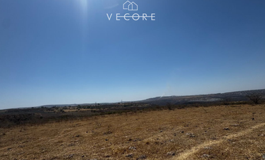 TERRENO RÚSTICO EN VENTA EN MATATLÁN, ENTRE TONALÁ Y ZAPOTLANEJO, JALISCO