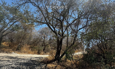 TERRENO RÚSTICO EN VENTA EN MATATLÁN, ENTRE TONALÁ Y ZAPOTLANEJO, JALISCO
