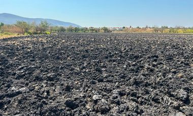 Terreno Campestre en Tepalcingo Tepalcingo - CRB-1272-Tca