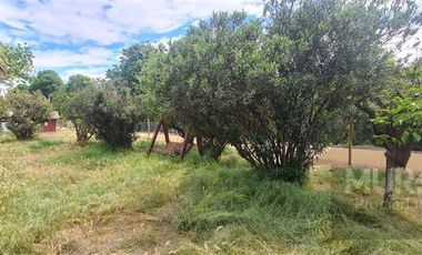 Casa en Venta en Lonquen Sur - Carampangue.- Granja Educativa - Colegio Trebulco