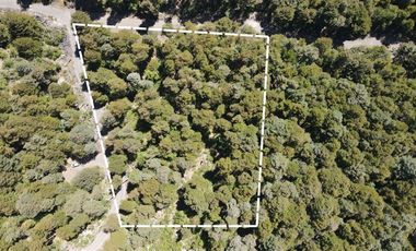 Parcela en Venta en rinconada