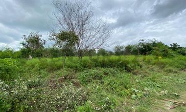 TERRENO EN VENTA – URBANIZACIÓN SAN PATRICIO, JARAMIJÓ