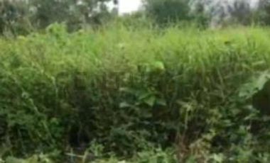 TERRENO EN VENTA – URBANIZACIÓN SAN PATRICIO, JARAMIJÓ