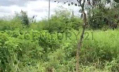 TERRENO EN VENTA – URBANIZACIÓN SAN PATRICIO, JARAMIJÓ