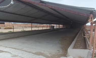 HERMOSO RANCHO CON MAQUINARIA Y POZO EN VENTA MUY CERCA DEL PARQUE INDUSTRIAL OCION