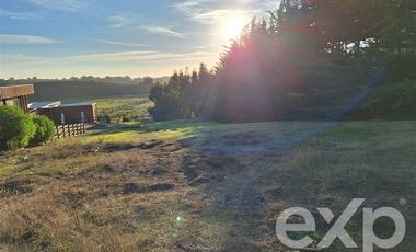 Parcela en Venta en Sitio urbano sector Catrianca Punta de Lobos