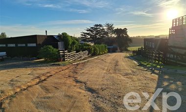 Terreno Construccion en Venta en Sitio urbano sector Catrianca Punta de Lobos