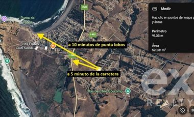 Terreno Construccion en Venta en Sitio urbano sector Catrianca Punta de Lobos
