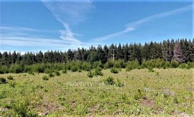 Patagonia, 57.3ha sector Lago Castor