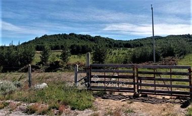 Patagonia, 57.3ha sector Lago Castor