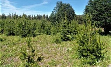 Patagonia, 57.3ha sector Lago Castor