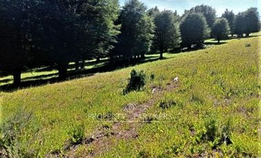 Patagonia, 57.3ha sector Lago Castor