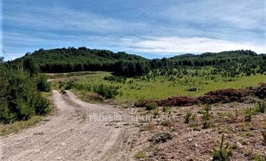 Patagonia, 57.3ha sector Lago Castor