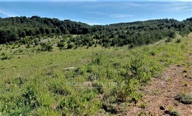 Patagonia, 57.3ha sector Lago Castor