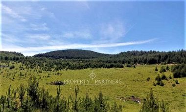 Patagonia, 57.3ha sector Lago Castor