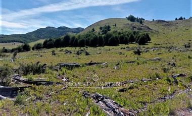 Patagonia, 57.3ha sector Lago Castor