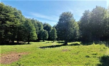 Patagonia, 57.3ha sector Lago Castor