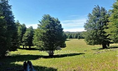 Patagonia, 57.3ha sector Lago Castor