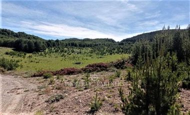 Patagonia, 57.3ha sector Lago Castor