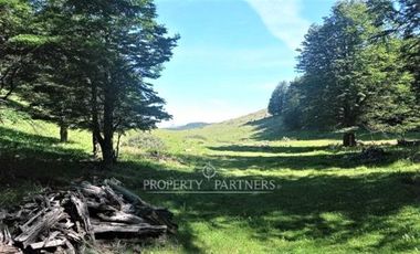 Patagonia, 57.3ha sector Lago Castor