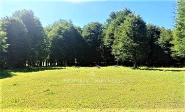 Patagonia, 57.3ha sector Lago Castor