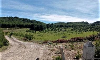 Patagonia, 57.3ha sector Lago Castor