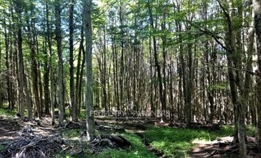 Patagonia, 57.3ha sector Lago Castor