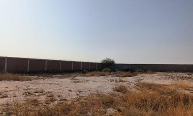 TERRENO EN RENTA EN EL FRESNO, TORREON, COAHUILA.