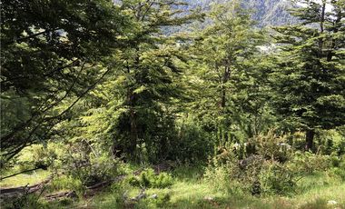 HERMOSAS PARCELAS EN PANQUI A 45 MIN DE PUCON