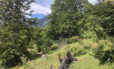HERMOSAS PARCELAS EN PANQUI A 45 MIN DE PUCON