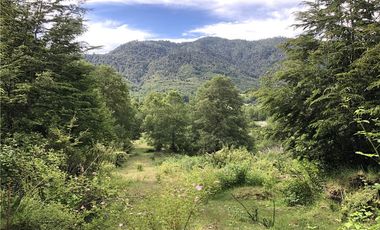 HERMOSAS PARCELAS EN PANQUI A 45 MIN DE PUCON