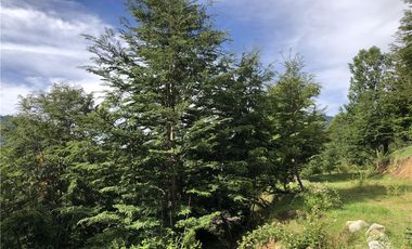 HERMOSAS PARCELAS EN PANQUI A 45 MIN DE PUCON