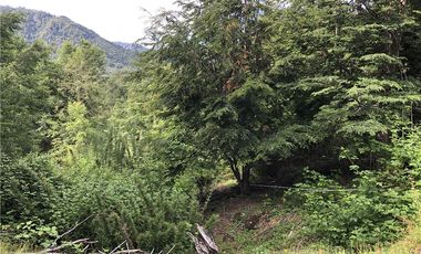 HERMOSAS PARCELAS EN PANQUI A 45 MIN DE PUCON