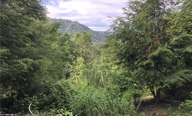 HERMOSAS PARCELAS EN PANQUI A 45 MIN DE PUCON