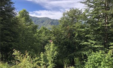 HERMOSAS PARCELAS EN PANQUI A 45 MIN DE PUCON