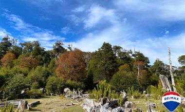 SE VENDE CAMPO PARA INVERSIÓN - HUIFE PUCON CHILE