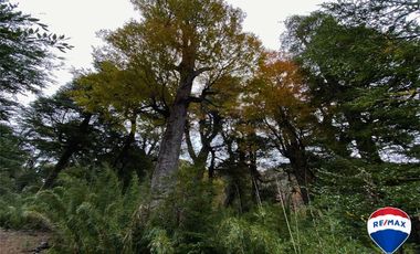 SE VENDE CAMPO PARA INVERSIÓN - HUIFE PUCON CHILE