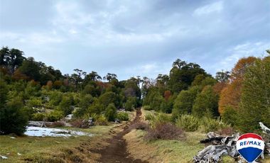 SE VENDE CAMPO PARA INVERSIÓN - HUIFE PUCON CHILE