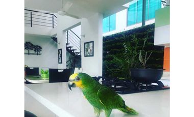 Casa De Anapoima En Condominio Campestre Sobre La Vía Principal