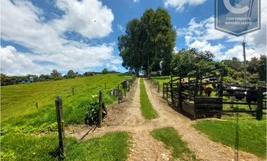Venta Finca El Despiste Bello