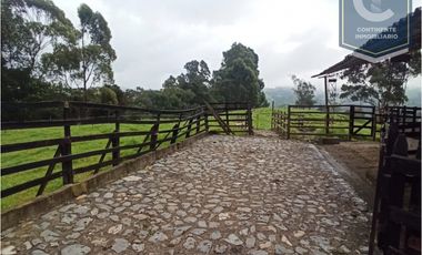 Venta Finca El Despiste Bello